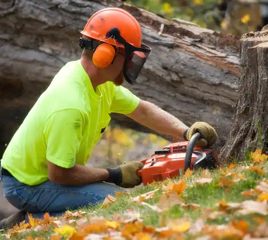 tree services Gladstone